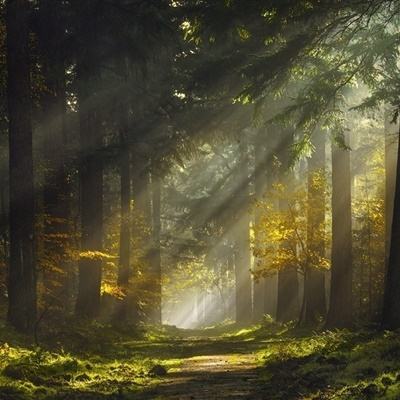 雷泽体育官方入口