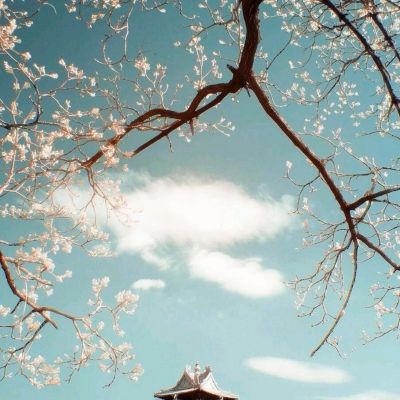 环球体育app最新版下载