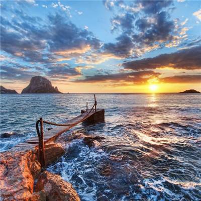 澳门4949资料免费大全手机app下载